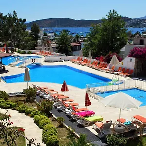 book here